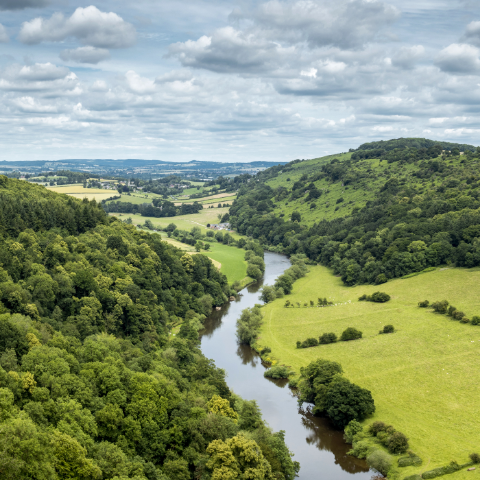 RIVER WYE PRESERVATION TRUST RIVER WALK AT ARAMSTONE – 15TH JULY 2014